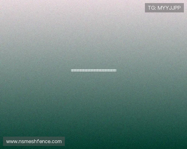 九游娱乐网址登录线路多渠道选择指南,满足不同玩家的登录需求 九游娱乐网址登录线路多渠道选择指南,满足不同玩家的登录需求