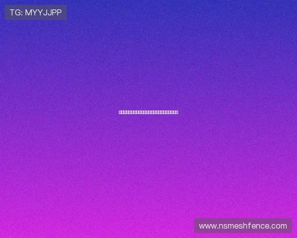卡塔尔世界杯波黑队关键比赛亮点与球员表现深度解析